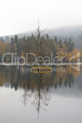 Floating small island on the lake