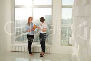 Two colleagues standing at window in office