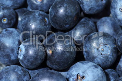 blaubeeren