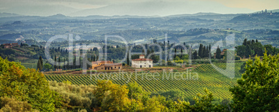 Fields in Tuscany