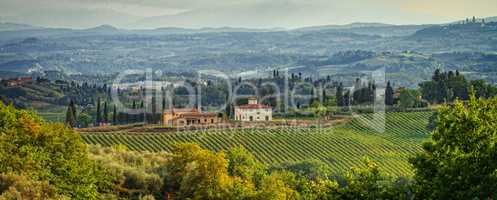 Fields in Tuscany