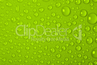 Water Drops On Green Background