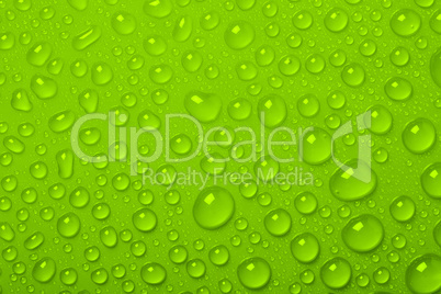 Water Drops On Green Background