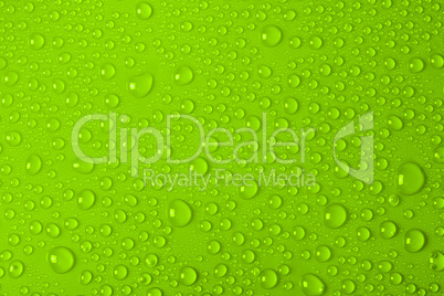 Water Drops On Green Background