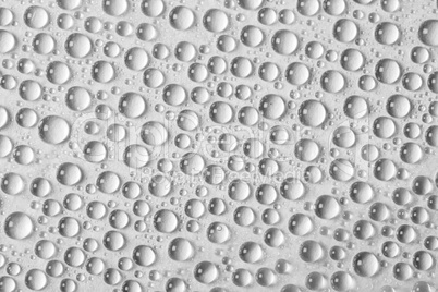 water drops an white background