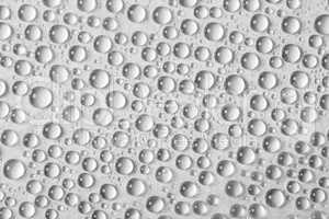 water drops an white background