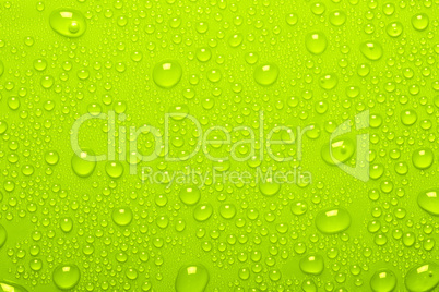 Water Drops On Green Background