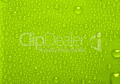 Water Drops On Green Background