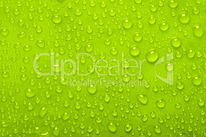 Water Drops On Green Background