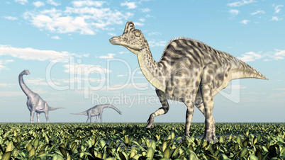 Brachiosaurus und Velafrons