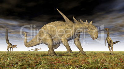 Sauropelta und Velociraptor