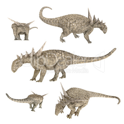 Dinosaurier Sauropelta isoliert auf weißem Hintergrund