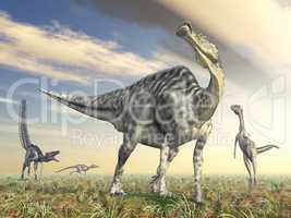 Velafrons und Velociraptor