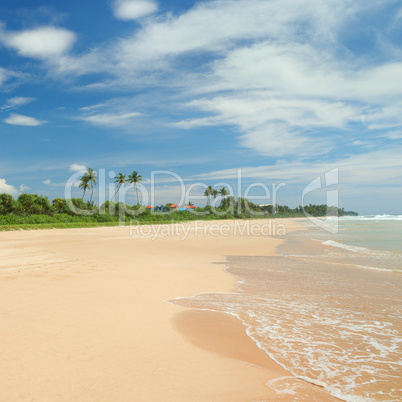 beautiful coastline and blue sky