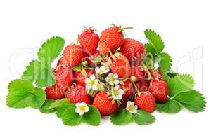 strawberry isolated on a white