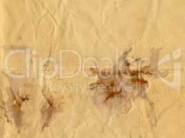 Brown paper texture background