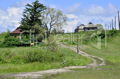 Rural summer landscape with the image of the old village