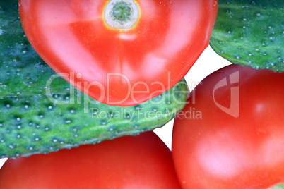 cucumber and  tomato