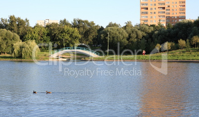 summer in city park