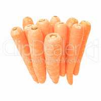 Retro looking Carrots isolated