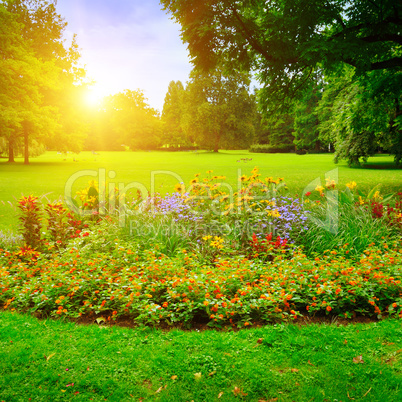 summer park with beautiful flowerbeds