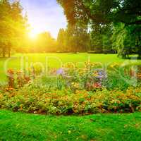 summer park with beautiful flowerbeds