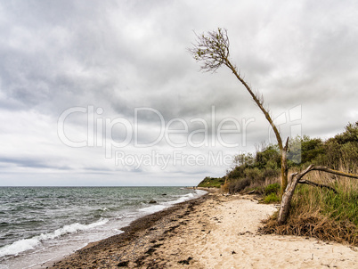 An der Küste der Ostsee