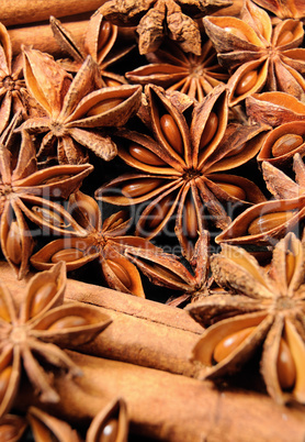 star anise fruits and seeds
