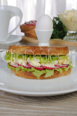 Egg sandwich with radish