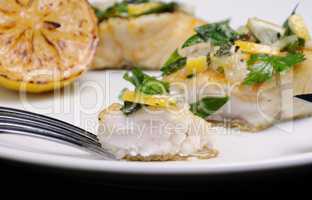 slice of baked fish pike perch
