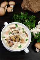 creamy soup pureed mushrooms and chicken