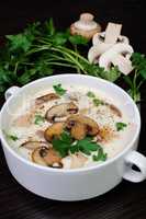 creamy soup pureed mushrooms and chicken