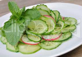 salad cucumber with radish