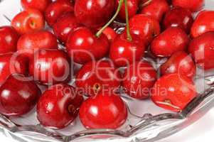 Red cherries in a dish of water