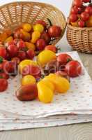 Scattered different varieties of tomatoes on a napkin