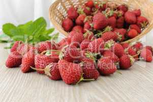 Baskets of strawberries sprinkled on the table