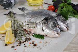 Fresh sea bream (Dorado)