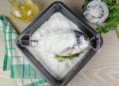 Sea bream (Dorado) baked with salt