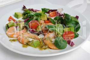 Salad of watercress salad with shrimp and avocado