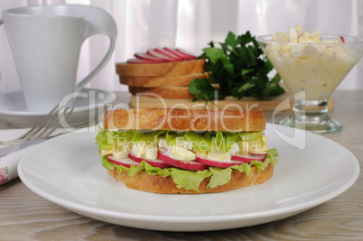 Egg sandwich with radish