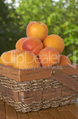 apricot basket