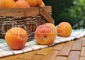 Apricots scattered on the towel