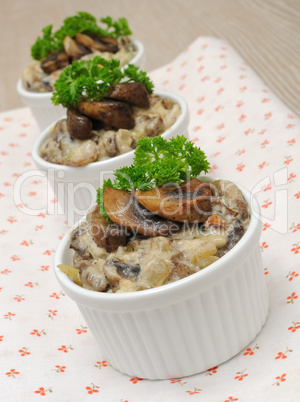 Mushrooms in a creamy sauce