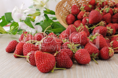 Baskets of strawberries sprinkled on the table close-up