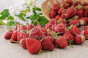 Baskets of strawberries sprinkled on the table close-up