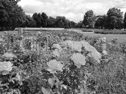 Gardens in Stuttgart Germany