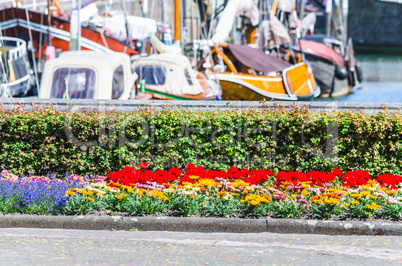 Farbenfrohes Blumenbeet im Hintergrund ein Hafen.