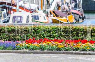 Farbenfrohes Blumenbeet im Hintergrund ein Hafen.