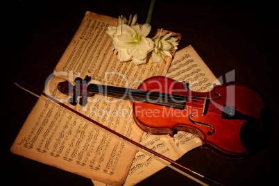 Geige und Bogen auf Noten