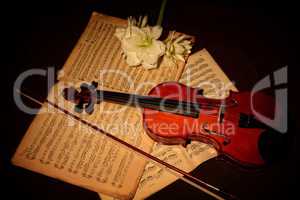Geige und Bogen auf Noten